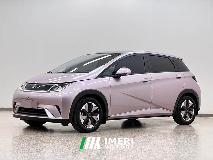 BYD Dolphin Glory Edition 420km Fashion Version - ავტომობილი ჩინეთიდან