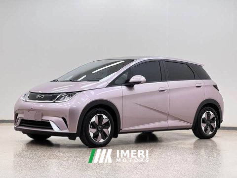 2024 BYD Dolphin Glory Edition 420km Fashion Version - ავტომობილი ჩინეთიდან