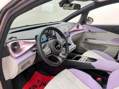 BYD Dolphin Glory Edition 420km Fashion Version - ფოტო 14