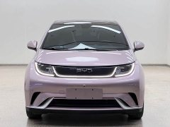 BYD Dolphin Glory Edition 420km Fashion Version - ფოტო 2