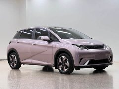 BYD Dolphin Glory Edition 420km Fashion Version - ფოტო 3
