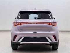 BYD Dolphin Glory Edition 420km Fashion Version - ფოტო 6