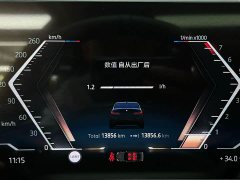 BMW 3 Series 330Li M Sport Night Edition Package - ფოტო 16