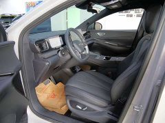 BYD Haima Lion Haima Sealion 06 DM-i 205 Pilot Pro - ფოტო 8