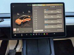 Tesla Model Y Rear-Wheel Drive - ფოტო 11
