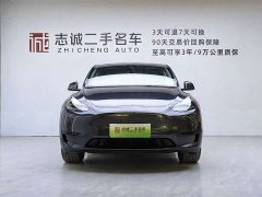 Tesla Model Y Rear-Wheel Drive - ფოტო 3