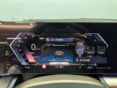 BMW 5 Series 530Li Luxury M Sport Package - ფოტო 14