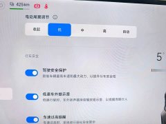 Xiaomi SU7 2024 Rear-Wheel Drive Ultra-Long Range Advanced Autonomous Driving Pro - ფოტო 11