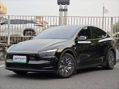 Tesla Model Y L 2025 Long Range All-Wheel Drive - ფოტო 1