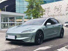 Tesla Model 3 High Performance All-Wheel Drive - ფოტო 1
