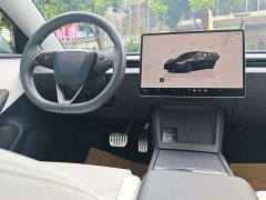 Tesla Model 3 High Performance All-Wheel Drive - ფოტო 14