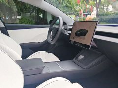 Tesla Model 3 High Performance All-Wheel Drive - ფოტო 15