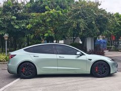 Tesla Model 3 High Performance All-Wheel Drive - ფოტო 7