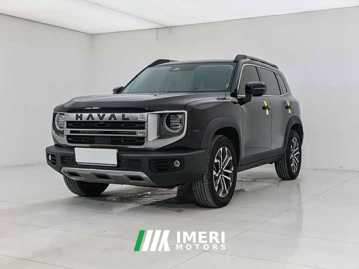 Great Wall Dachshund 2024 1.5T DCT Border Collie Edition - ავტომობილი ჩინეთიდან
