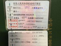 Great Wall Dachshund 2024 1.5T DCT Border Collie Edition - ფოტო 19
