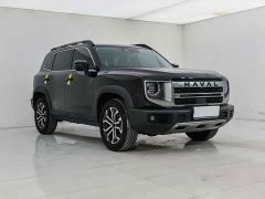 Great Wall Dachshund 2024 1.5T DCT Border Collie Edition - ფოტო 3
