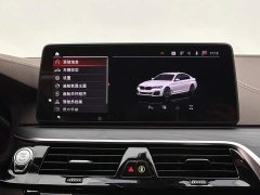 BMW 5 Series 530Li Premier M Sport Package - ფოტო 13