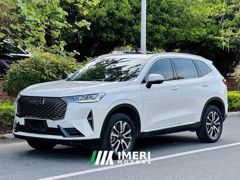 2022 Haval H6 Third Generation 1.5T Automatic Two-Wheel Drive Pro - ავტომობილი ჩინეთიდან