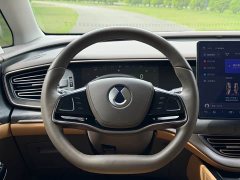 Denza BYD Denza D9 2022 DM-i 1040 Premium - ფოტო 11