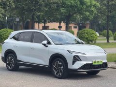Wuling Xingguang S 510km Flagship - ფოტო 2