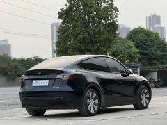 Tesla Model Y 2022 Facelift Rear-Wheel Drive - ფოტო 19