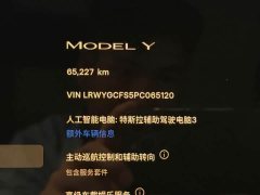 Tesla Model Y 2022 Facelift Rear-Wheel Drive - ფოტო 7