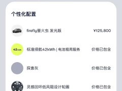 Nio Firefly 2025 Luminous Edition - ფოტო 18