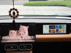 Leapmotor C11 2024 Pure Electric 515 Smart Enjoy Edition - ფოტო 15