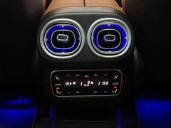 Mercedes-Benz GLC 300 L 4MATIC Dynamic 7-Seater - ფოტო 19