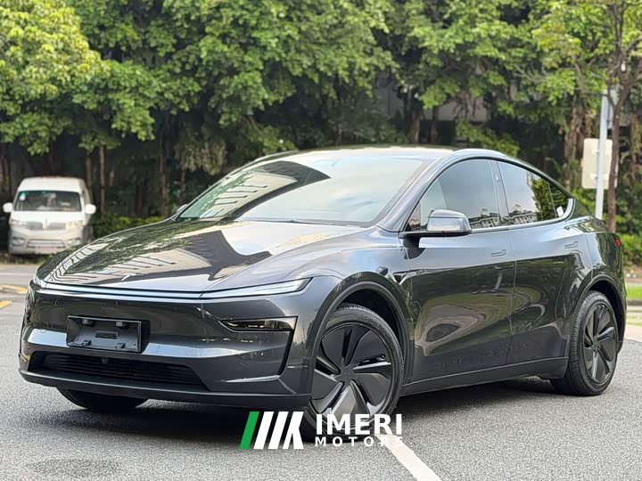 Tesla Model Y Rear-Wheel Drive