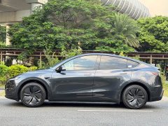 Tesla Model Y Rear-Wheel Drive - ფოტო 10