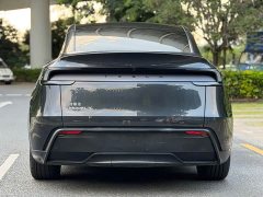 Tesla Model Y Rear-Wheel Drive - ფოტო 12