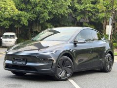 Tesla Model Y Rear-Wheel Drive - ფოტო 2