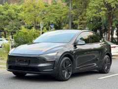 Tesla Model Y Rear-Wheel Drive - ფოტო 3