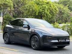 Tesla Model Y Rear-Wheel Drive - ფოტო 5