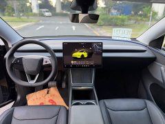 Tesla Model Y Rear-Wheel Drive - ფოტო 7