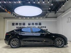 Tesla Model 3 2020 Facelift Standard Range RWD Upgrade - ფოტო 13