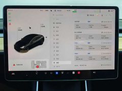 Tesla Model 3 2020 Facelift Standard Range RWD Upgrade - ფოტო 7