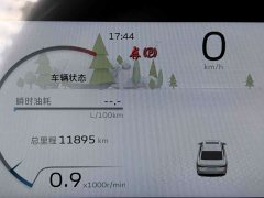 Geely Binrui COOL 1.5T DCT Dragon Ascend Edition - ფოტო 20