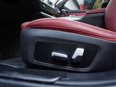 BMW 3 Series Facelift 325Li M Sport Night Edition Package - ფოტო 20