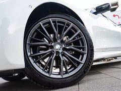 BMW 3 Series Facelift 325Li M Sport Night Edition Package - ფოტო 8