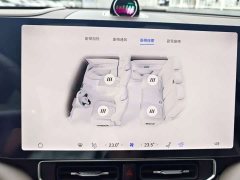 AITO M9 Extended Range Max 52kWh 5-Seater with 192-Channel LiDAR - ფოტო 19