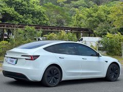 Tesla Model 3 2026 Rear-Wheel Drive - ფოტო 14