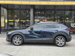 Mazda CX-30 2.0L Automatic Jia Yue Edition - ფოტო 7