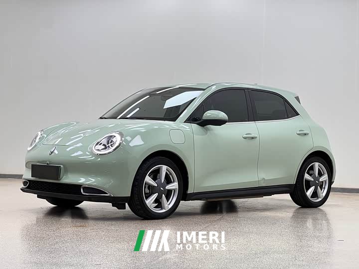 ORA Good Cat 401km Standard Range Luxury LFP - ავტომობილი ჩინეთიდან