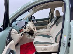 ORA Good Cat 401km Standard Range Luxury LFP - ფოტო 14