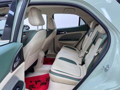 ORA Good Cat 401km Standard Range Luxury LFP - ფოტო 15