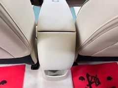 ORA Good Cat 401km Standard Range Luxury LFP - ფოტო 17