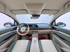 ORA Good Cat 401km Standard Range Luxury LFP - ფოტო 18