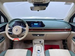 ORA Good Cat 401km Standard Range Luxury LFP - ფოტო 19